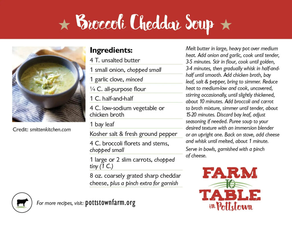 Recipe for Broccoli Cheddar Soup