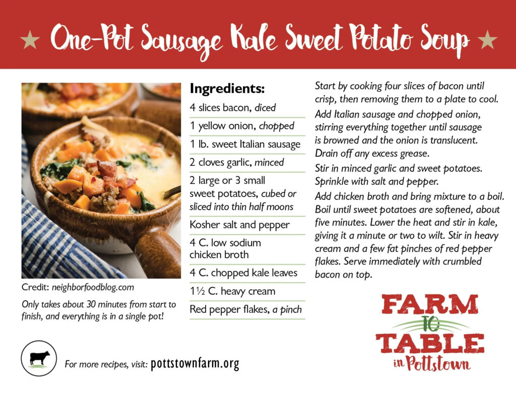 Recipe for Creamy Kale and Sausage Soup